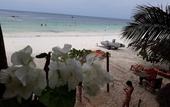 Туры в отель Sipano Beach Lodge Kiwengwa