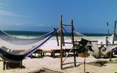 Туры в отель Sipano Beach Lodge Kiwengwa