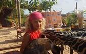 Туры в отель Sipano Beach Lodge Kiwengwa