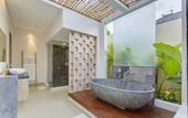 Туры в отель The Tukad Villa
