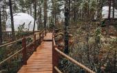 Туры в отель Lago Ladoga Глэмпинг