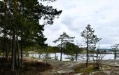Туры в отель Lago Ladoga Глэмпинг