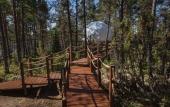 Туры в отель Lago Ladoga Глэмпинг
