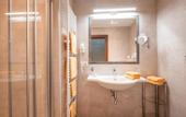 Туры в отель Hotel Garni Erler
