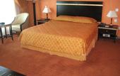 Туры в отель Ewan Hotel Sharjah