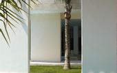 Туры в отель Excellence Playa Mujeres