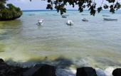 Туры в отель Bella Vista Resort Zanzibar
