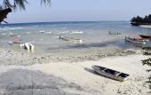 Туры в отель Bella Vista Resort Zanzibar
