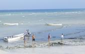 Туры в отель Bella Vista Resort Zanzibar