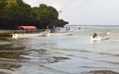 Туры в отель Bella Vista Resort Zanzibar