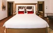 Туры в отель Novotel New Delhi Aerocity
