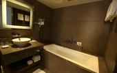 Туры в отель Novotel New Delhi Aerocity