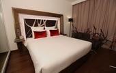 Туры в отель Novotel New Delhi Aerocity