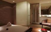 Туры в отель Novotel New Delhi Aerocity
