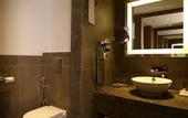 Туры в отель Novotel New Delhi Aerocity