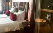 Туры в отель Novotel New Delhi Aerocity