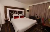 Туры в отель Novotel New Delhi Aerocity