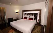 Туры в отель Novotel New Delhi Aerocity