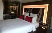 Туры в отель Novotel New Delhi Aerocity