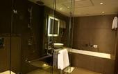 Туры в отель Novotel New Delhi Aerocity