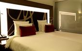 Туры в отель Novotel New Delhi Aerocity