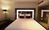 Туры в отель Novotel New Delhi Aerocity