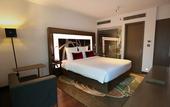 Туры в отель Novotel New Delhi Aerocity