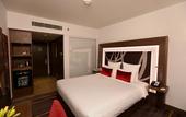 Туры в отель Novotel New Delhi Aerocity