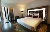 Туры в отель Novotel New Delhi Aerocity