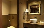 Туры в отель Novotel New Delhi Aerocity