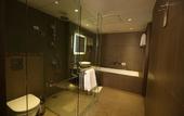 Туры в отель Novotel New Delhi Aerocity
