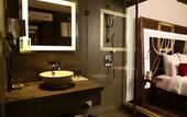 Туры в отель Novotel New Delhi Aerocity