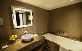Туры в отель Novotel New Delhi Aerocity