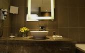 Туры в отель Novotel New Delhi Aerocity