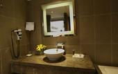 Туры в отель Novotel New Delhi Aerocity