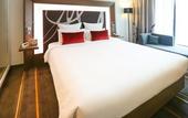 Туры в отель Novotel New Delhi Aerocity