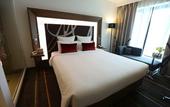 Туры в отель Novotel New Delhi Aerocity