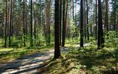Туры в отель Над Енисеем