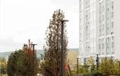 Туры в отель Регион 42