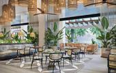 Туры в отель Canopy by Hilton Seychelles