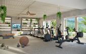 Туры в отель Canopy by Hilton Seychelles
