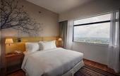 Туры в отель Hilton Colombo Residence