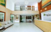 Туры в отель Night Sea Hotel