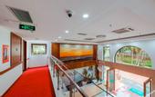 Туры в отель Night Sea Hotel