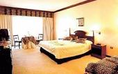Туры в отель Excelsior Hotel