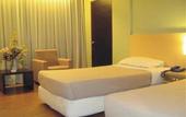 Туры в отель Excelsior Ipoh