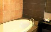 Туры в отель Excelsior Ipoh