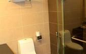 Туры в отель Excelsior Ipoh
