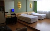 Туры в отель Excelsior Ipoh