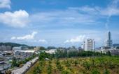 Туры в отель Patong Diamond Hotel